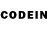 Псилоцибиновые грибы GOLDEN TEACHER Conor Ryan