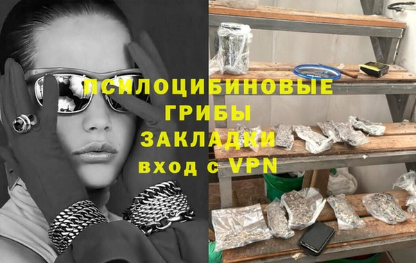 spice Алексин